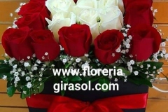 CA14-1285.00-con-25-rosas-2