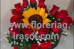 CA6-950.00-14-rosas-y-girasol